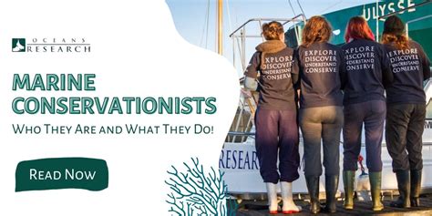Marine Conservationists: Roles, Careers & Ocean … - raincitystudios.com