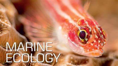 Marine ecology courses in Moorland Way - Reed.co.uk - raincitystudios.com