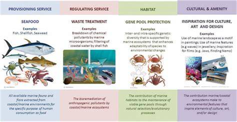 Marine ecosystem service valuation - MACBIO - raincitystudios.com