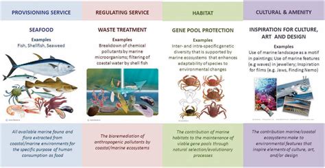 Marine ecosystem services - ScienceDirect - raincitystudios.com
