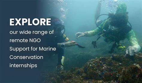 Marine Education and Conservation Internship Application - raincitystudios.com