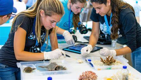 Marine Education Essentials - raincitystudios.com