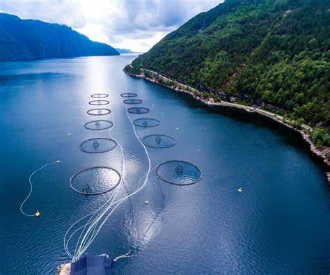 MARINE EXCURSION Last week, our Marine and Aquaculture Technology ... - raincitystudios.com