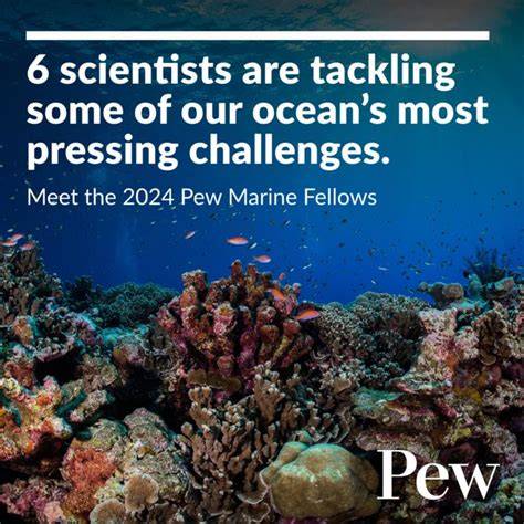 Marine Fellows | The Pew Charitable Trusts - raincitystudios.com