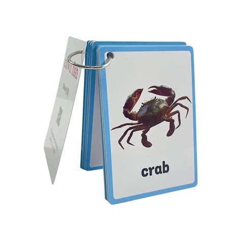 Marine Flashcards | Quizlet - raincitystudios.com