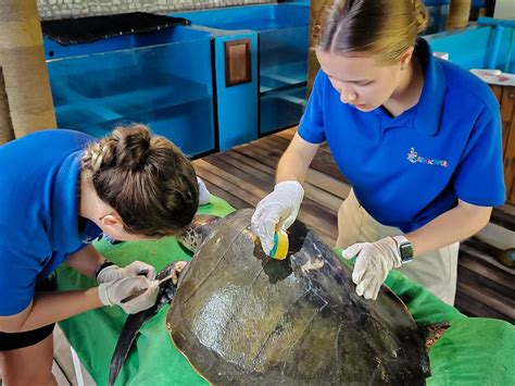 Marine internship programmes - The Crown Estate - raincitystudios.com