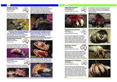 Marine Invertebrate Field Guide - raincitystudios.com