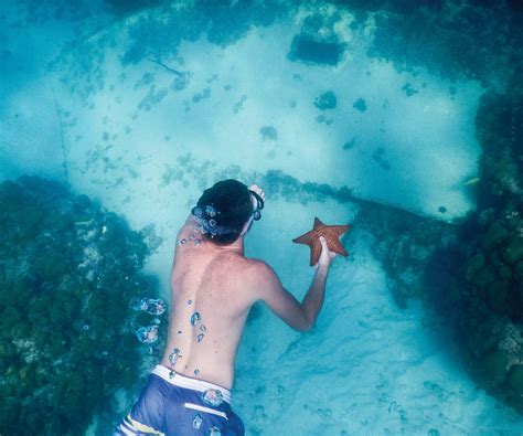 Marine Life Volunteering in Europe - raincitystudios.com