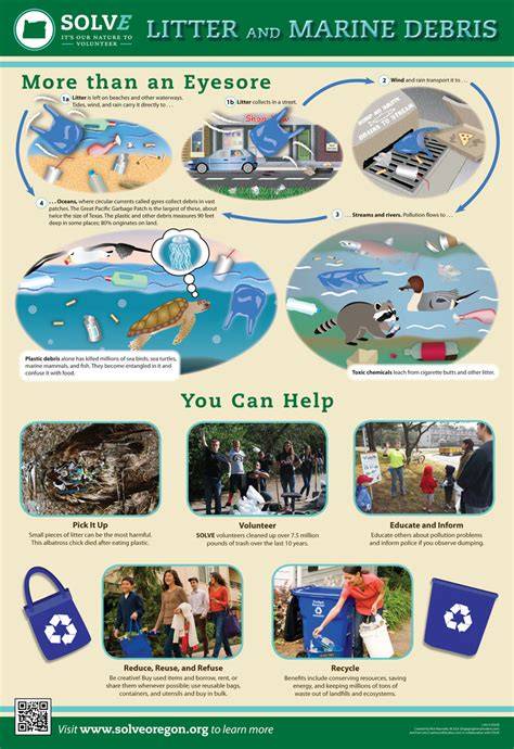 Marine litter education: From awareness to action - ScienceDirect - raincitystudios.com