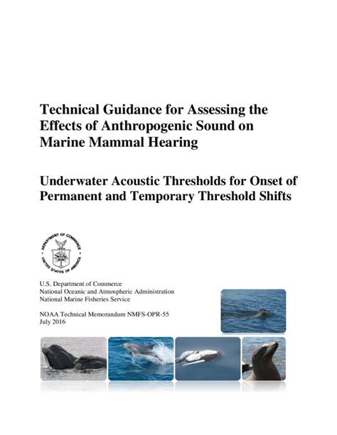 Marine Mammal Acoustic Technical Guidance & Other … - raincitystudios.com