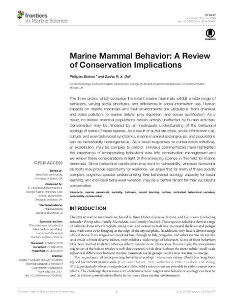 Marine Mammal Behavior: A Review of Conservation Implications - raincitystudios.com