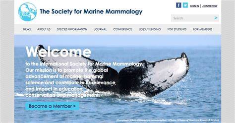 Marine Mammal Science Job Openings - Society for … - raincitystudios.com