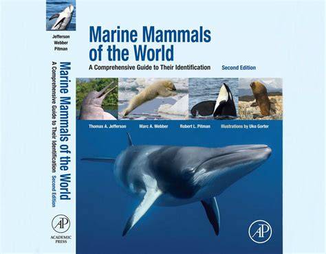 Marine Mammal Studies: A Comprehensive Guide - raincitystudios.com