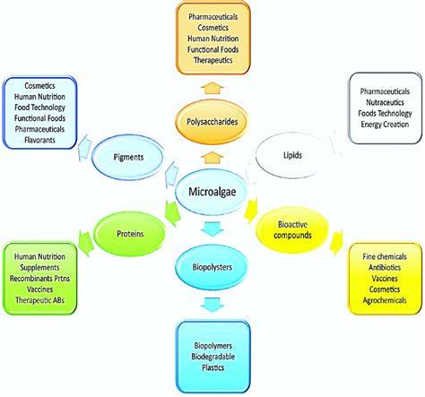 Marine microalgae and their industrial biotechnological applications: A ... - raincitystudios.com