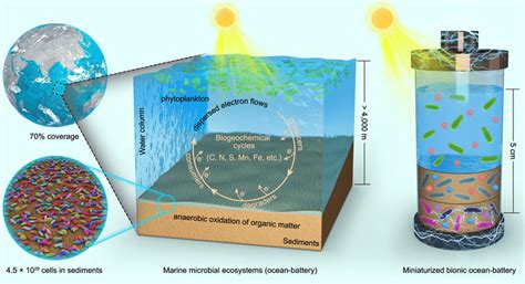 Marine microbial community dynamics and their ecological ... - Nature - muktibox.com