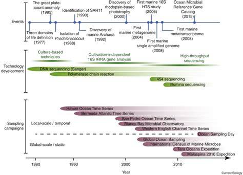 Marine microbial diversity: Current Biology - Cell Press - raincitystudios.com