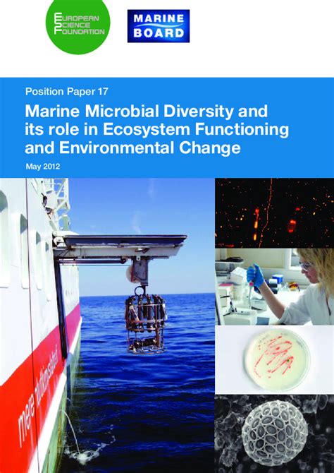 Marine Microbial Diversity: Ecosystem Roles and Applications - raincitystudios.com