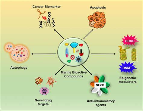 Marine microorganisms as an untapped source of bioactive compounds - raincitystudios.com