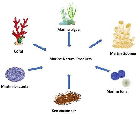 Marine natural products and derivatives - Oxford Academic - raincitystudios.com