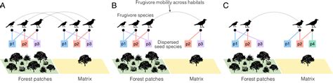 Marine plant dispersal and connectivity measures differ in their ... - raincitystudios.com