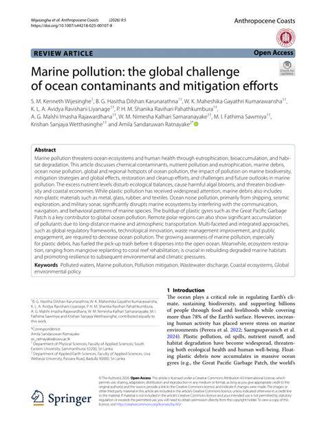 Marine pollution: the global challenge of ocean contaminants and ... - raincitystudios.com