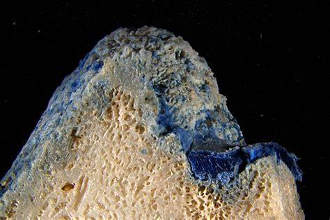 Marine Pollution Bulletin | ScienceDirect.com by Elsevier - Marine ... - raincitystudios.com