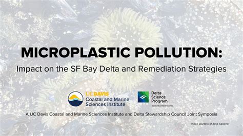 Marine Pollution Remediation Strategies - raincitystudios.com