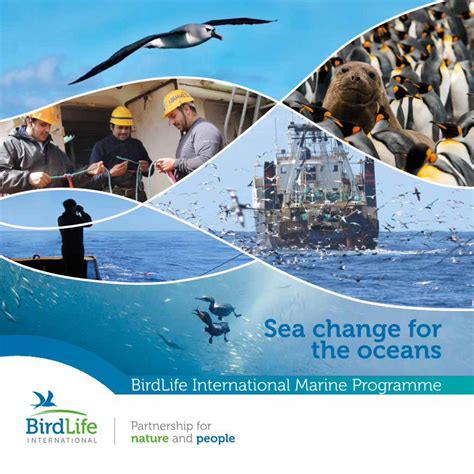 Marine Programme - World Heritage Centre - raincitystudios.com