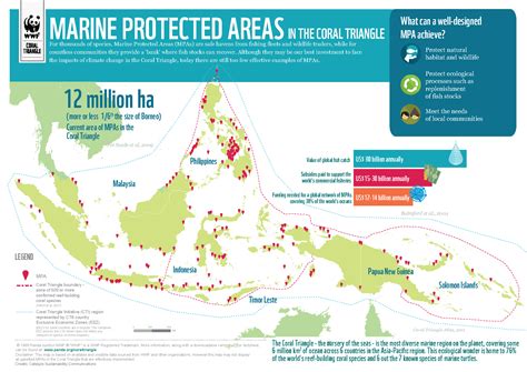 Marine Protected Areas in the Philippines - Marine Conservation … - raincitystudios.com