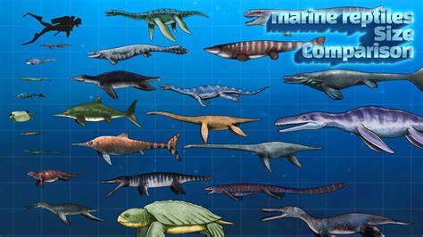 Marine Reptiles - MarineBio Conservation Society - raincitystudios.com