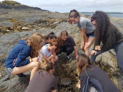 Marine Residentials for Young People… - Field Studies Council - raincitystudios.com