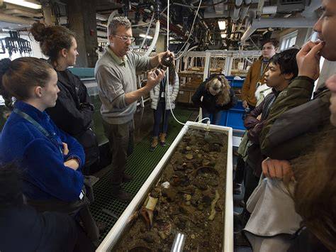 Marine Resources Center | Marine Biological Laboratory - raincitystudios.com