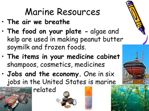 Marine Resources - Geographic Book - raincitystudios.com