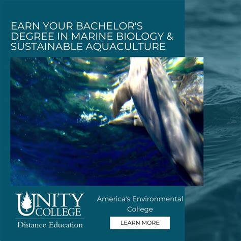 Marine Science and Sustainable Development | University of - Postgrad - raincitystudios.com