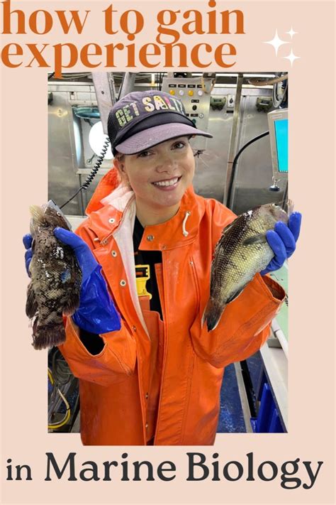 Marine Science Internship Jobs, Employment | Indeed - raincitystudios.com