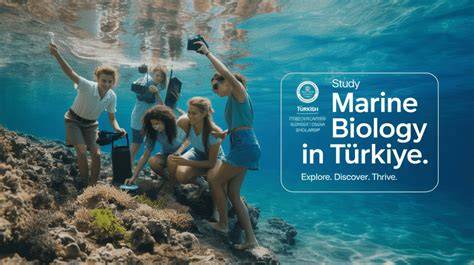 Marine science scholarships for international students - JCU Australia - raincitystudios.com