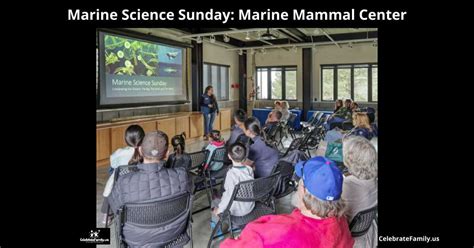 Marine Science Sunday | The Marine Mammal Center - raincitystudios.com