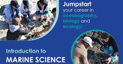 Marine Sciences FET - Two Oceans Aquarium Foundation - raincitystudios.com