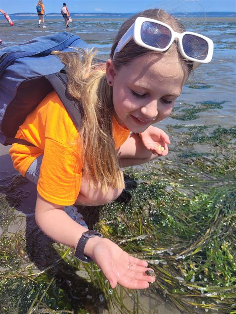 Marine Sciences Summer Camps | KidsCamps - raincitystudios.com