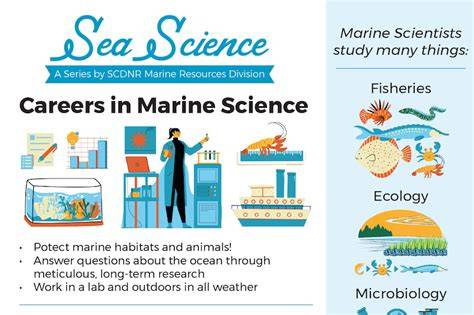 Marine Scientist Jobs (with Salaries) - SEEK - raincitystudios.com