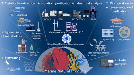 Marine specialized metabolites: Unveiling Nature's chemical treasures ... - raincitystudios.com