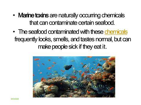 Marine Toxin - an overview | ScienceDirect Topics - raincitystudios.com