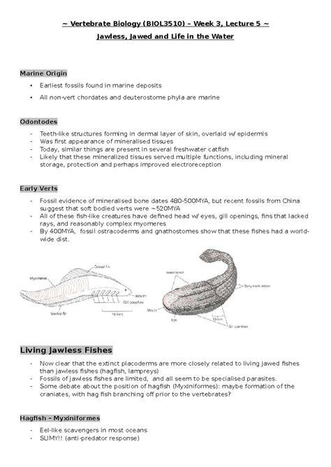 Marine Vertebrate Biology - Stony Brook University - raincitystudios.com