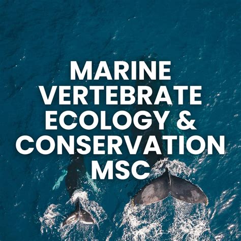 Marine vertebrate conservation ecology - University of Plymouth - raincitystudios.com