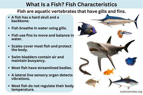 Marine Vertebrate Zoology Exam 1 Basics Flashcards | Quizlet - raincitystudios.com