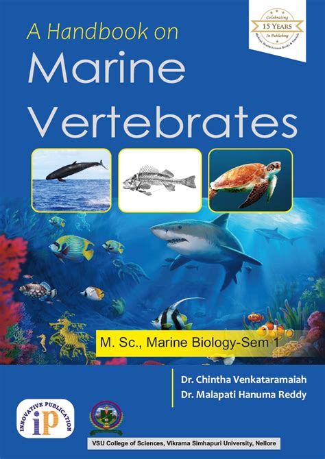Marine Vertebrates - MarineBio Conservation Society - raincitystudios.com