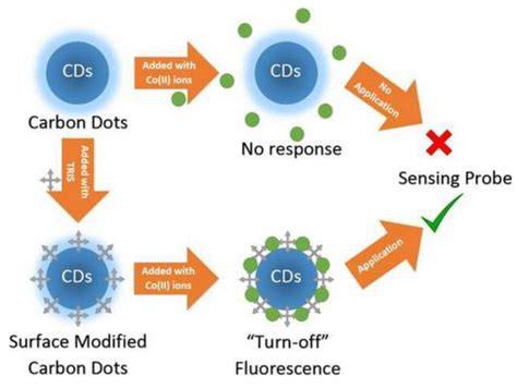 Marine-derived carbon dots: a safe and effective solution for noise ... - raincitystudios.com