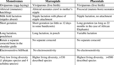 Marsupials vs. Monotremes - What's the Difference? - muktibox.com