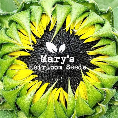 Mary's Heirloom Seeds - raincitystudios.com