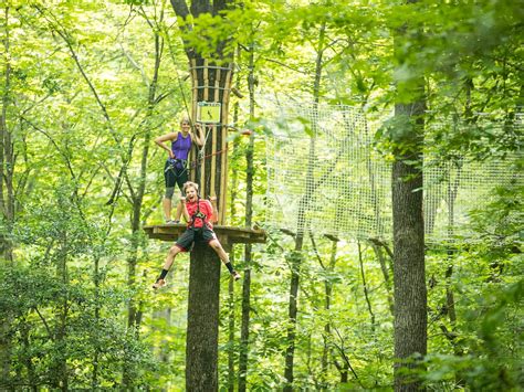 Maryland Zipline & Adventure Park | Go Ape Rockville, … - raincitystudios.com